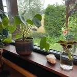 Stunning Tiny House In Beautiful Garden Apartament *